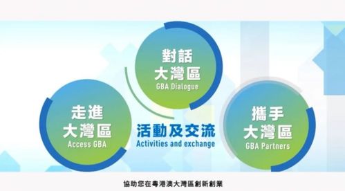 粵港澳大灣區(qū)青年創(chuàng)業(yè)線上交流會(huì)在穗舉行 聚焦信息技術(shù)咨詢服務(wù)發(fā)展